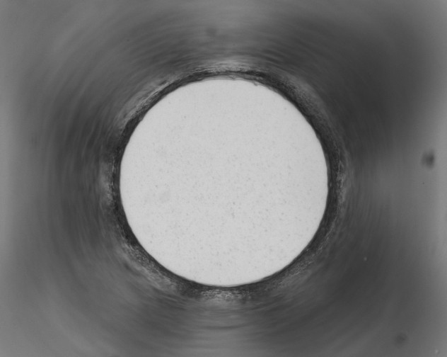 X0000114691217200912021037