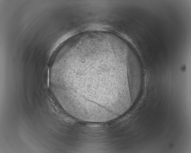 X0000114691219200912021037
