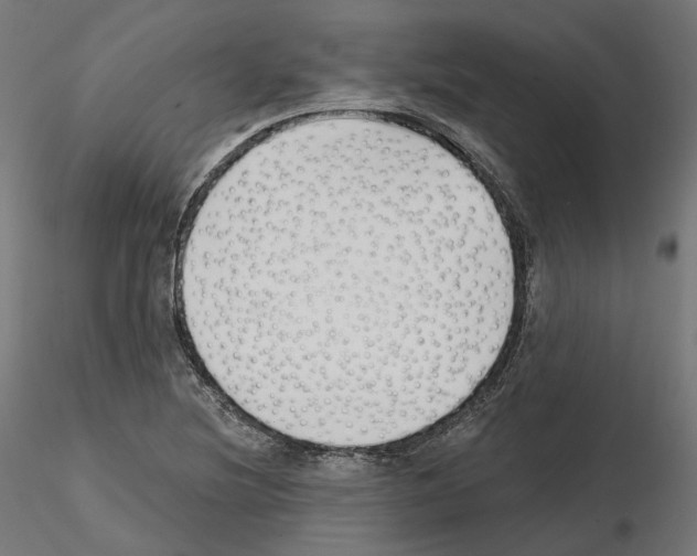 X0000114691220200912021037