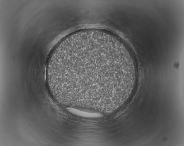 X0000114691221200912021037