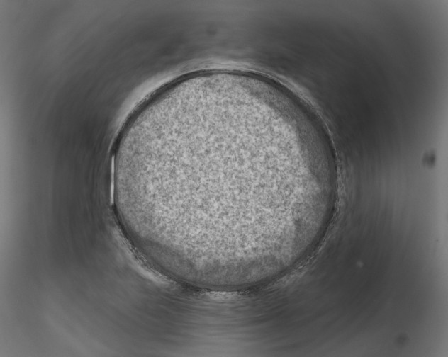 X0000114691223200912021037