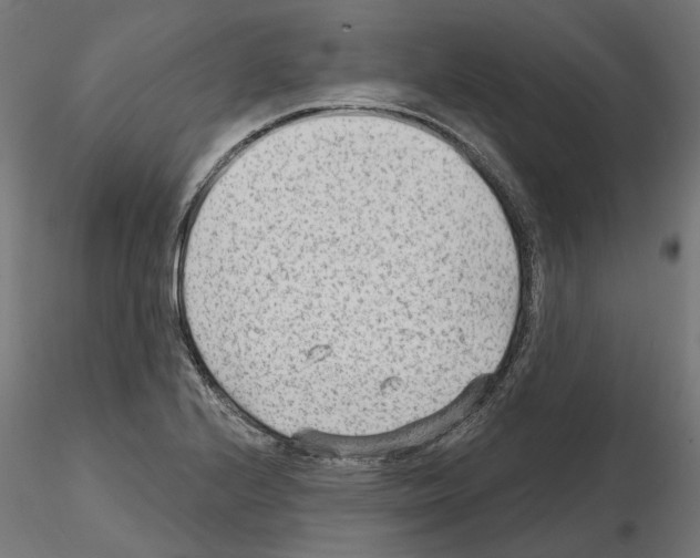 X0000114691224200912021037
