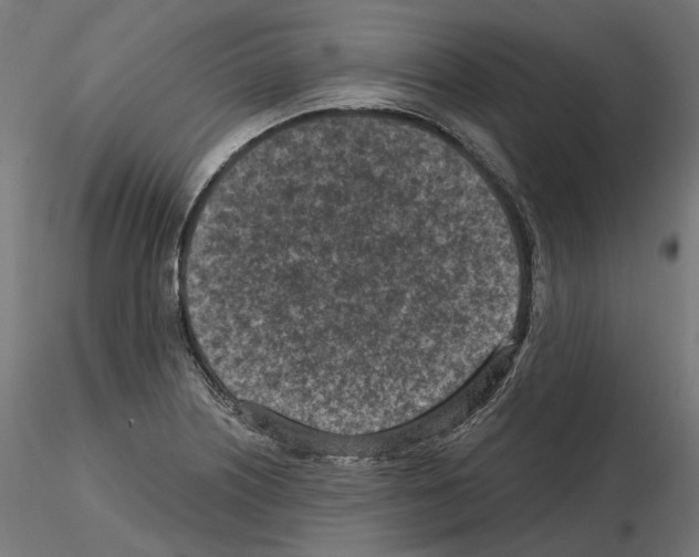 X0000114691226200912021037
