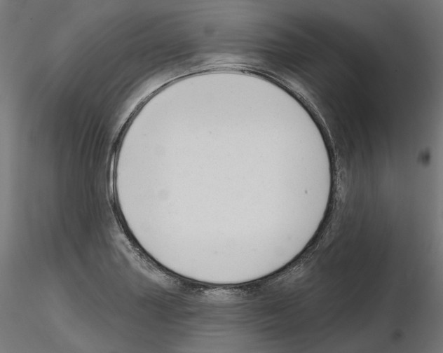 X0000114691227200912021037
