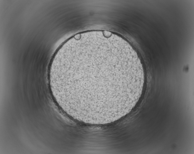 X0000114691230200912021037