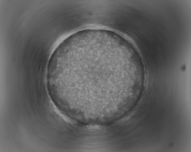 X0000114691231200912021037