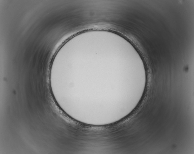 X0000114691232200912021037