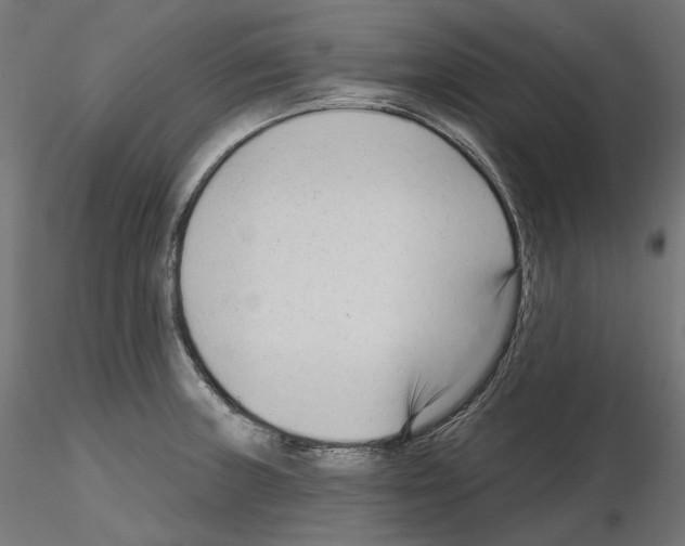 X0000114691235200912021037