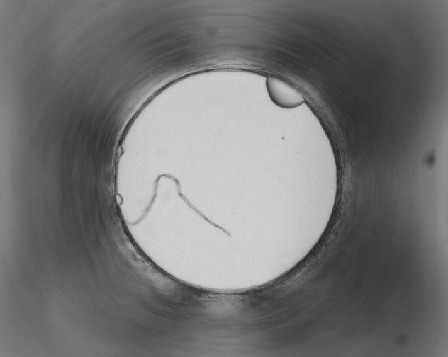 X0000114691236200912021037