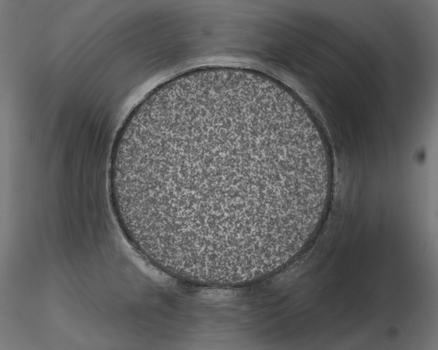 X0000114691237200912021037