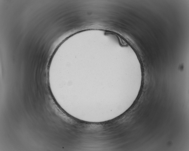 X0000114691238200912021037