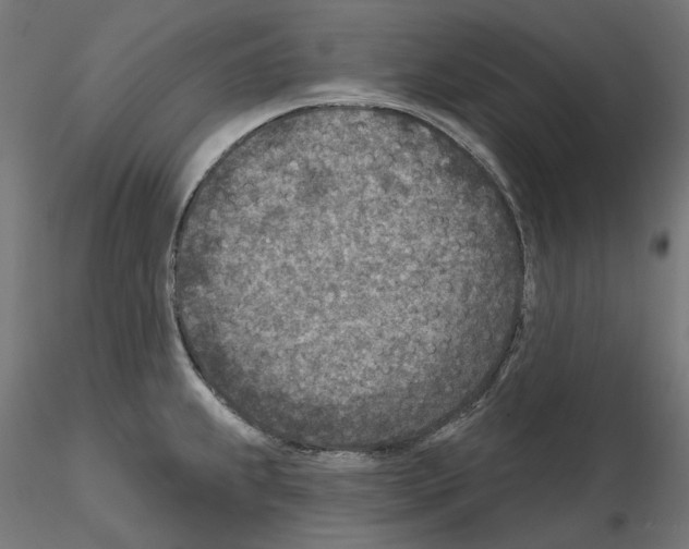 X0000114691239200912021037