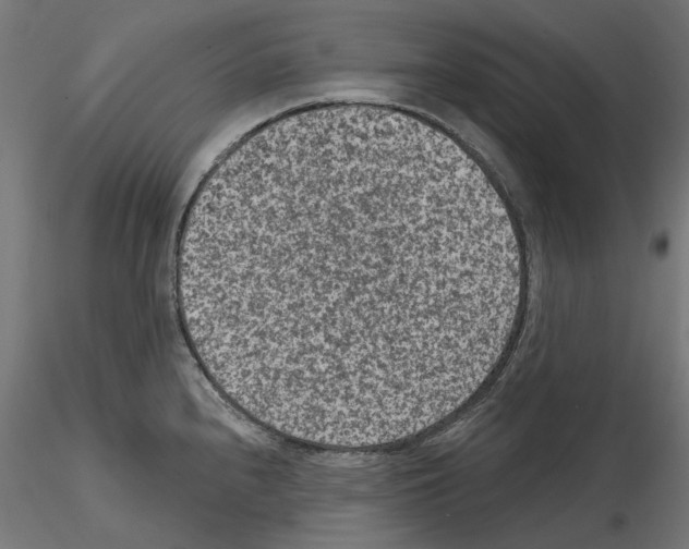 X0000114691240200912021037