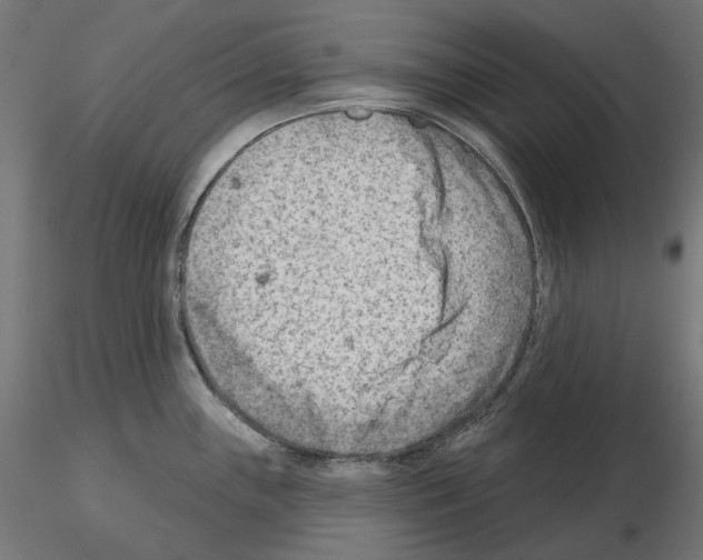 X0000114691243200912021037