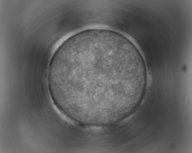X0000114691245200912021037