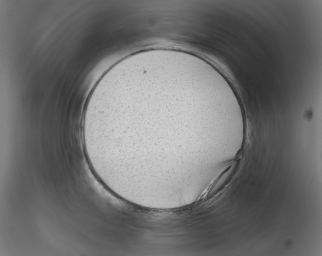 X0000114691247200912021037