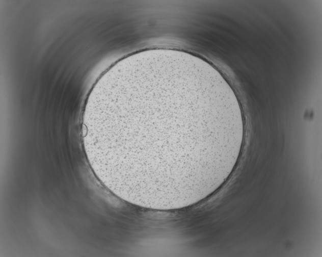 X0000114691248200912021037
