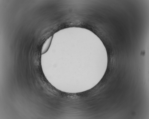 X0000114691250200912021037