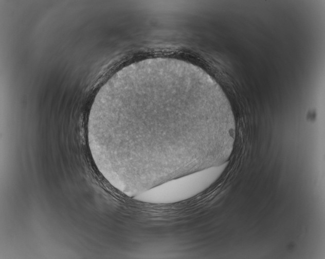 X0000114691252200912021037