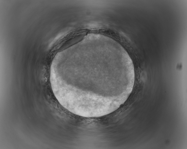 X0000114691253200912021037