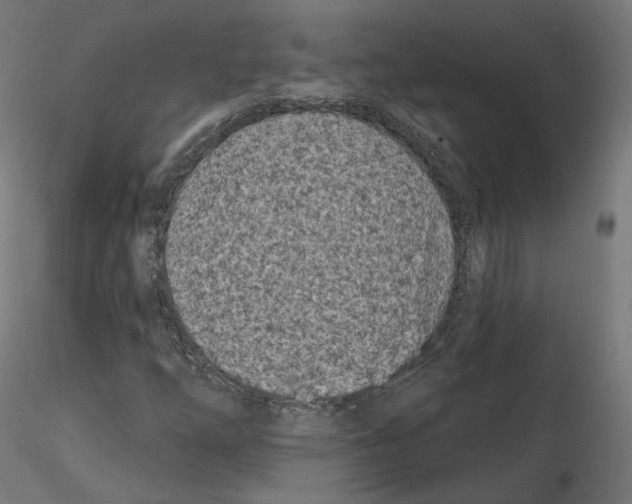 X0000114691254200912021037