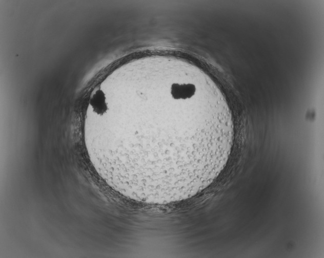 X0000114691255200912021037