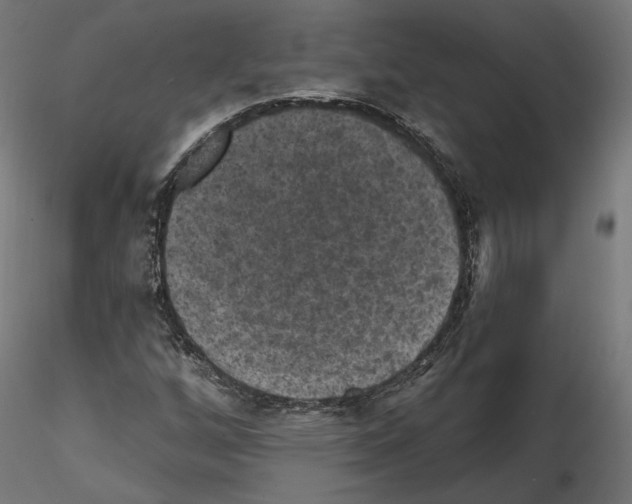 X0000114691256200912021037