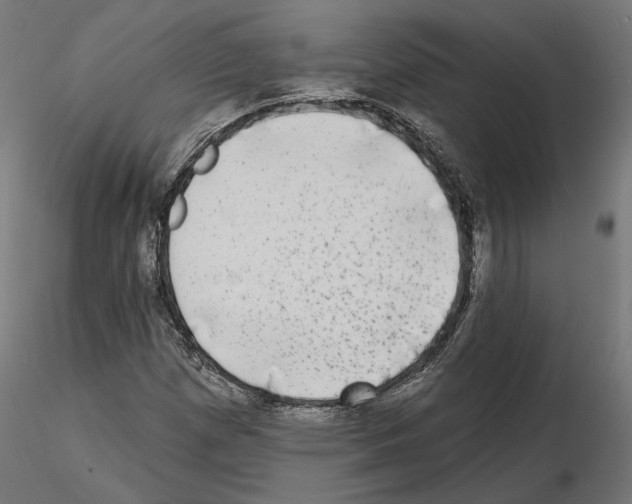X0000114691257200912021037