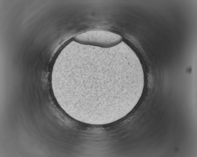 X0000114691260200912021037