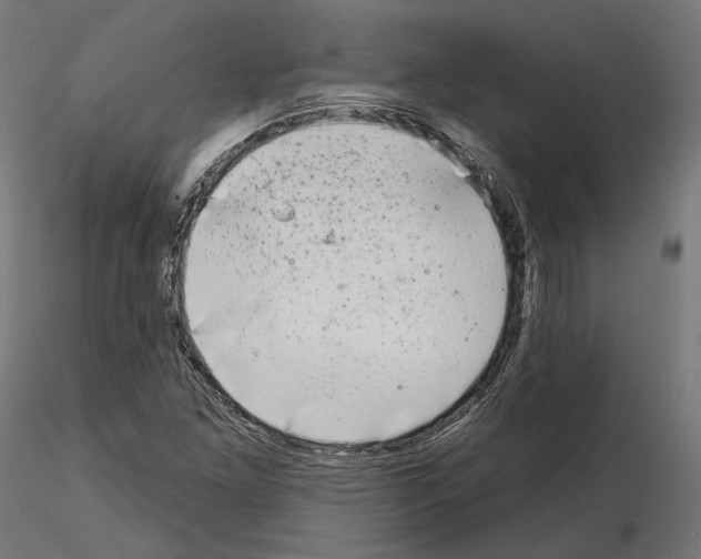 X0000114691261200912021037