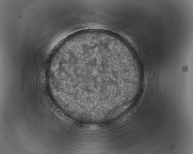 X0000114691263200912021037