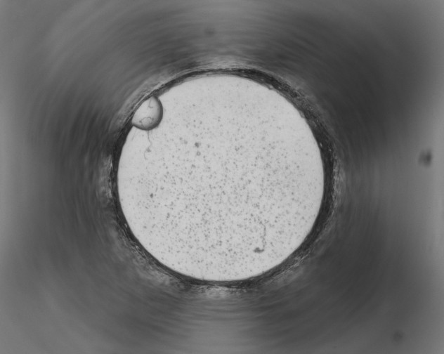 X0000114691265200912021037
