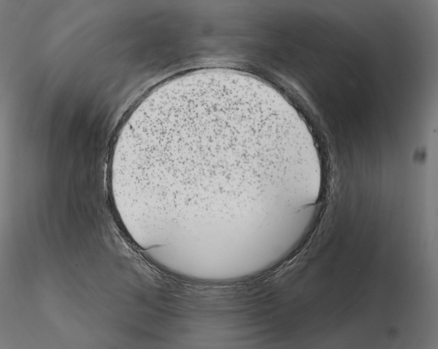 X0000114691268200912021037