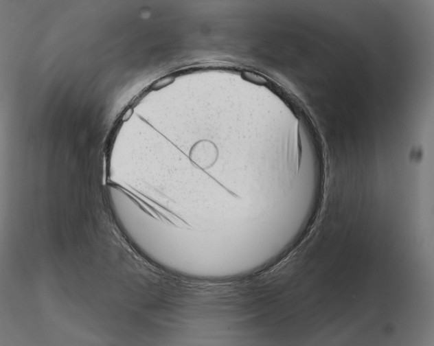 X0000114691269200912021037