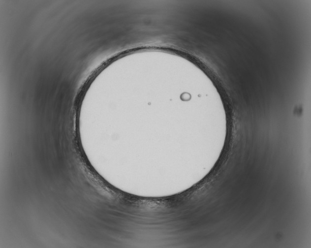 X0000114691270200912021036