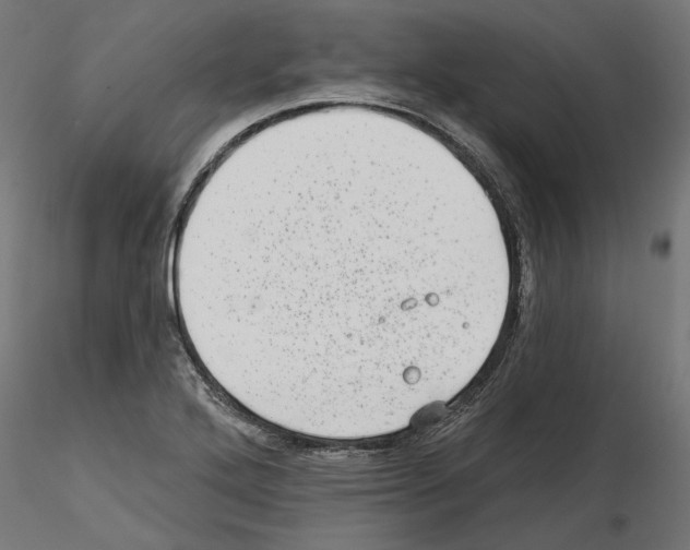 X0000114691272200912021036