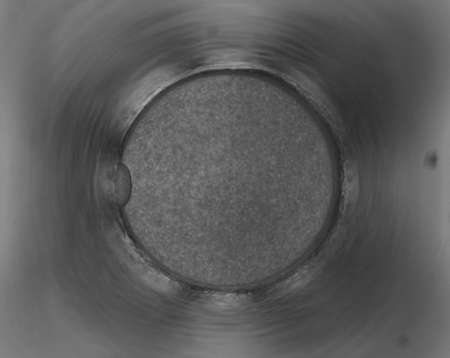 X0000114691273200912021036