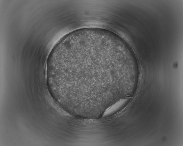 X0000114691275200912021036