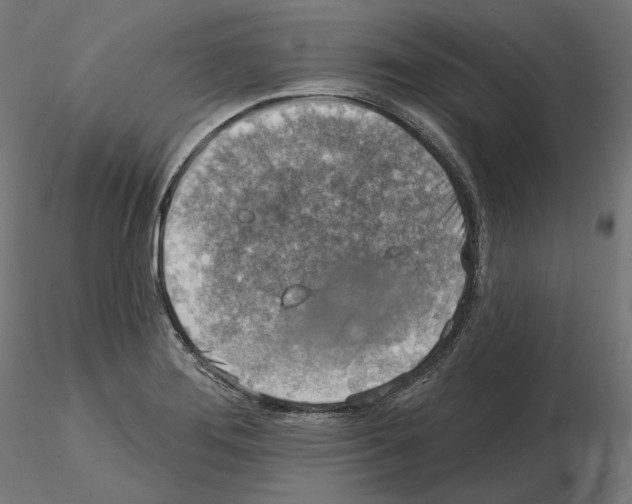 X0000114691276200912021036