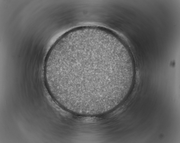 X0000114691279200912021036