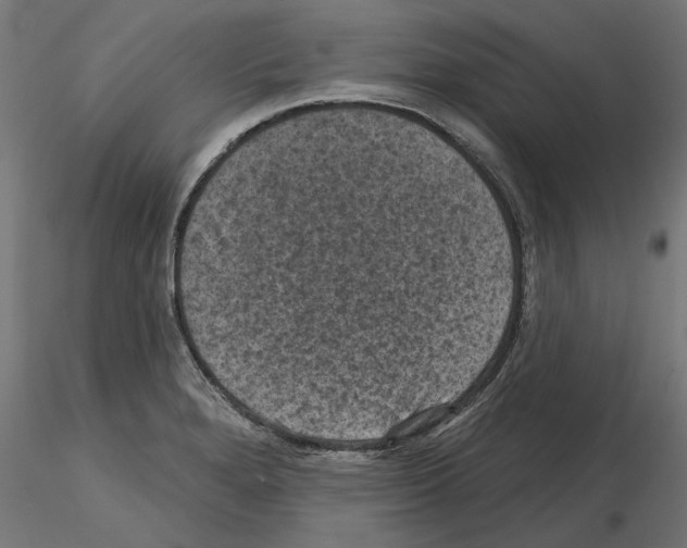 X0000114691280200912021036