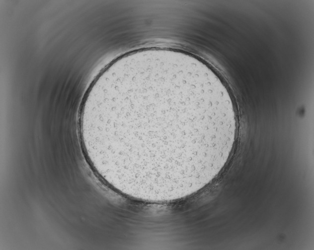X0000114691283200912021036