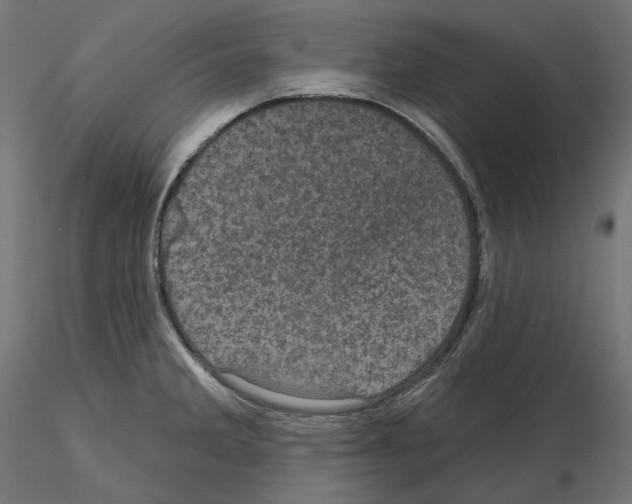X0000114691285200912021036