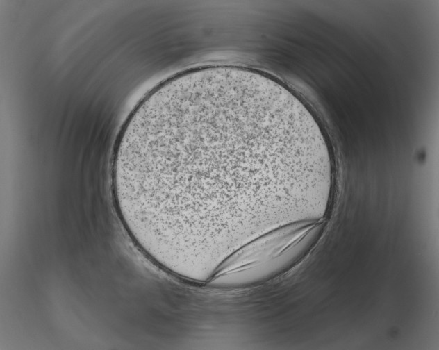 X0000114691288200912021036
