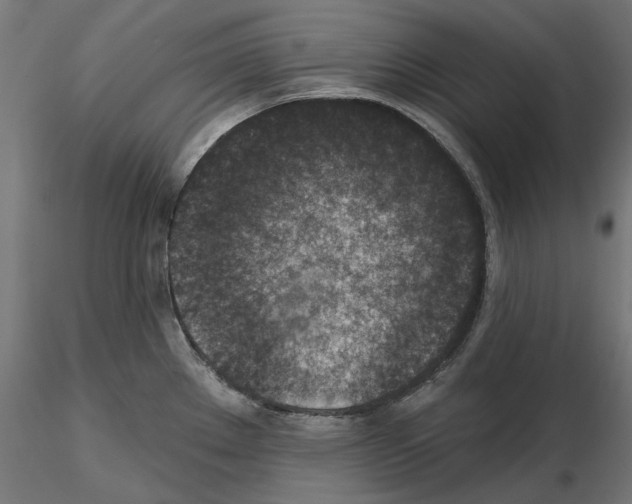 X0000114691289200912021036