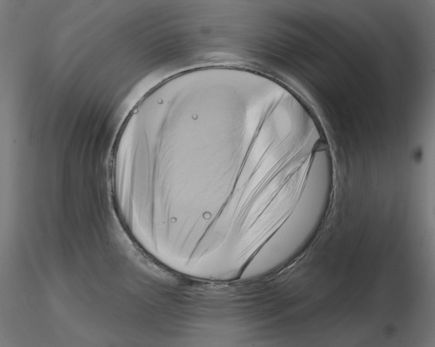 X0000114691291200912021036