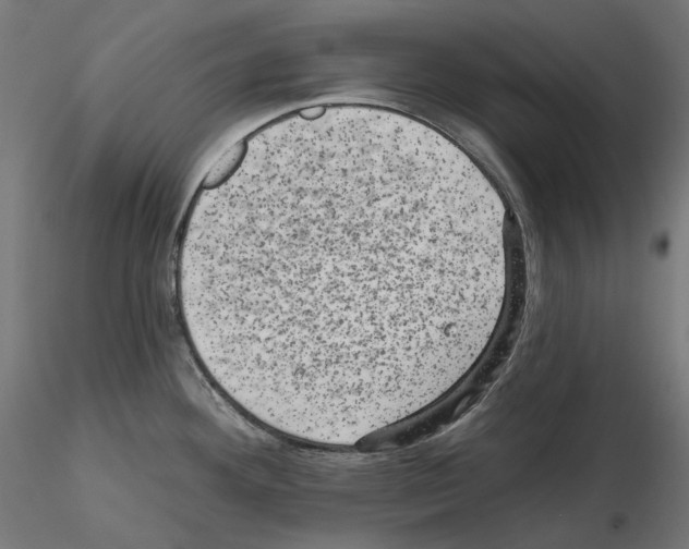X0000114691292200912021036