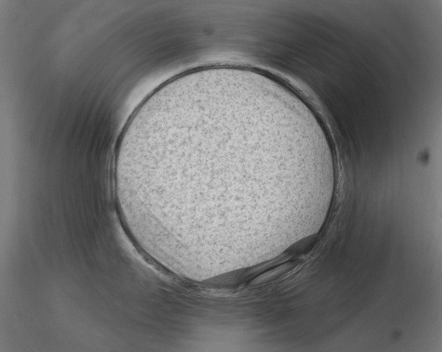 X0000114691295200912021036