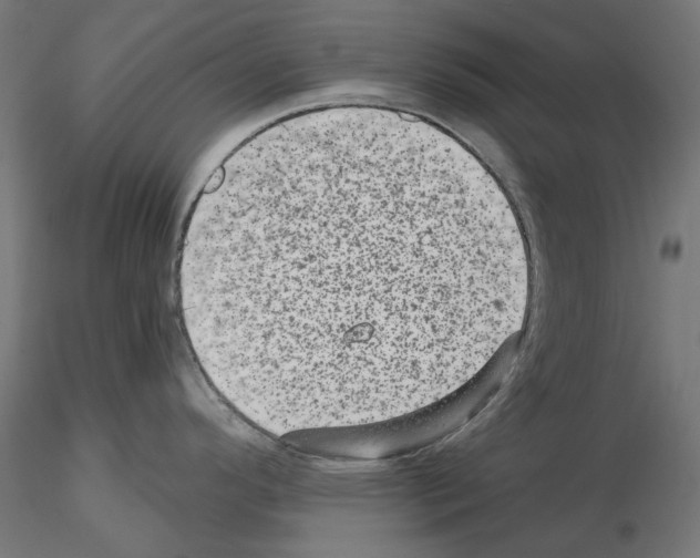 X0000114691296200912021036