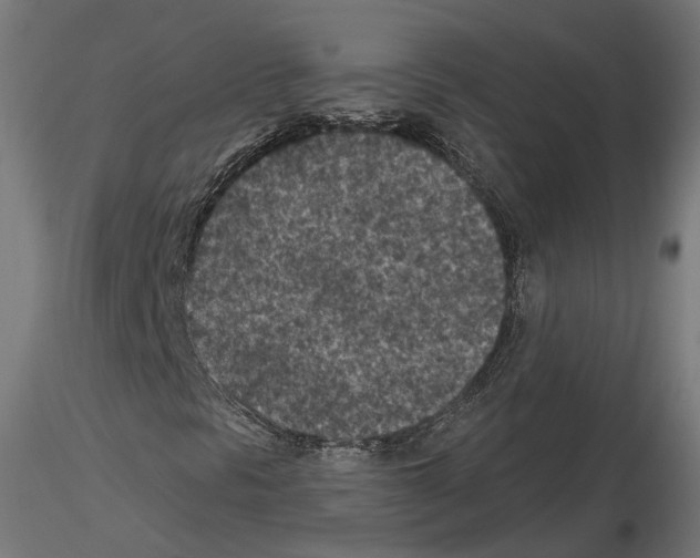 X0000114691297200912021035